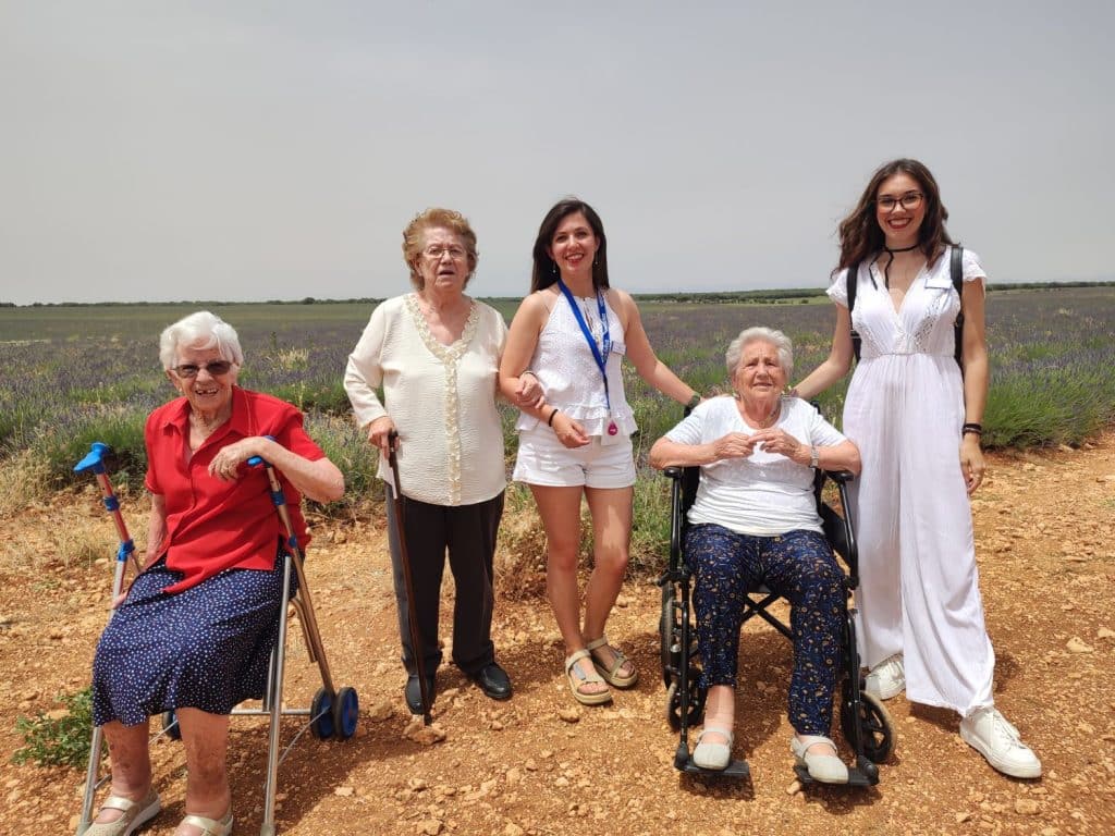 Campos de Lavanda